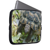 Süße Schildkröte Laptopschutzhülle (Vorne Rechts)