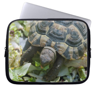 Süße Schildkröte Laptopschutzhülle