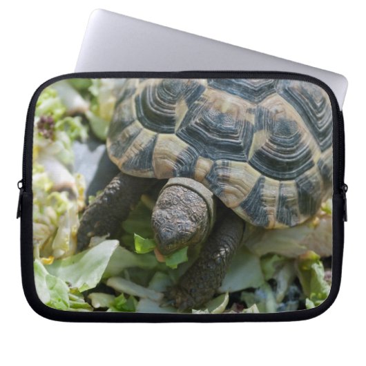 Süße Schildkröte Laptopschutzhülle (Vorderseite)