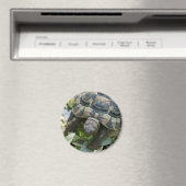 Süße Schildkröte Magnet (In Situ (Geschirrspüler))