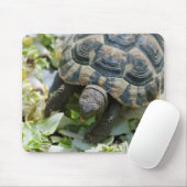 Süße Schildkröte Mousepad (Mit Mouse)