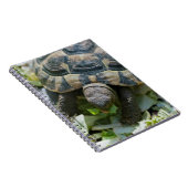 Süße Schildkröte Notizblock (Rechte Seite)