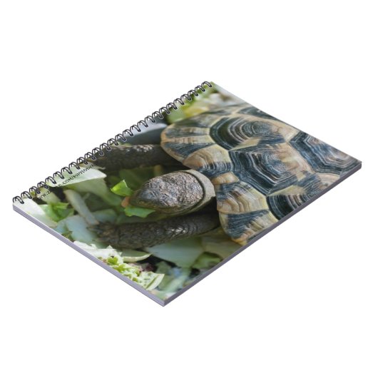 Süße Schildkröte Notizblock (Linke Seite)
