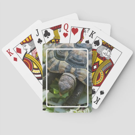 Süße Schildkröte Spielkarten (Rückseite)