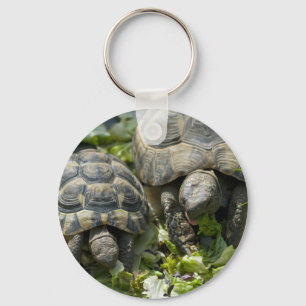 Süße Schildkröten Schlüsselanhänger