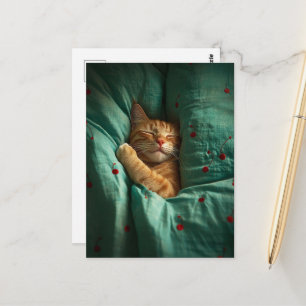Süße schlafende rote Katze  Postkarte