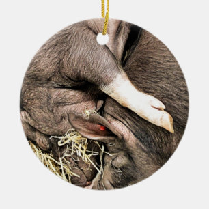 SÜSSE SCHLAFENDE SCHWEINE KERAMIK ORNAMENT