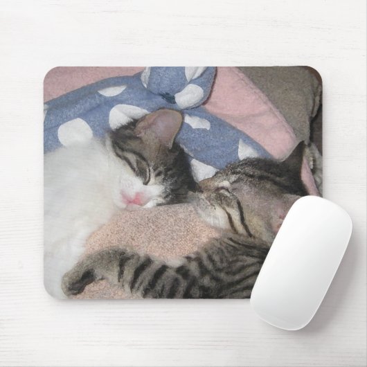 Süße Schlafenkätzchen Mousepad (Mit Mouse)