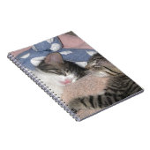 Süße Schlafenkätzchen Notizblock (Rechte Seite)