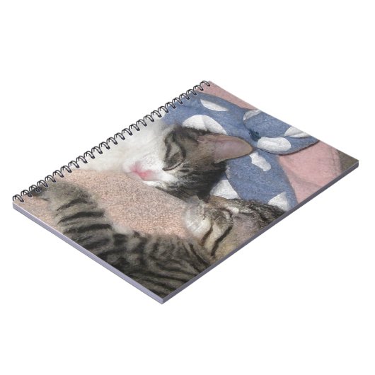 Süße Schlafenkätzchen Notizblock (Linke Seite)