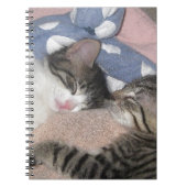 Süße Schlafenkätzchen Notizblock (Vorderseite)