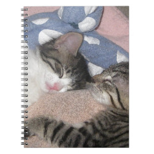 Süße Schlafenkätzchen Notizblock