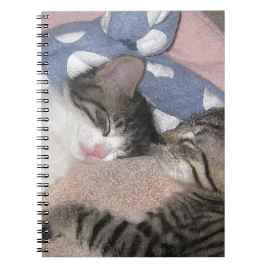 Süße Schlafenkätzchen Notizblock (Vorderseite)