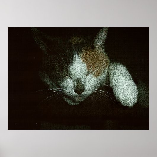 Süße schläft auf einem Katzenbaum Poster (Vorne)