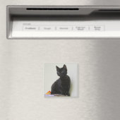 Süße schwarze Kätzchen-Magnet Magnet (In Situ (Geschirrspüler))