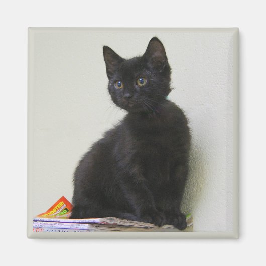 Süße schwarze Kätzchen-Magnet Magnet (Vorne)