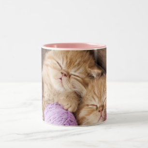 Süße schwarze Katze 325ml Zweifarben-Tasse Zweifarbige Tasse