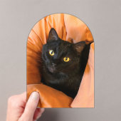 Süße schwarze Katze Acryleinladungen (Insitu (Handheld))