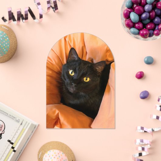Süße schwarze Katze Acryleinladungen (Insitu (Feier))