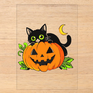 Süße schwarze Katze auf Halloween-Kürbis-Jack-O'-L Acryleinladungen