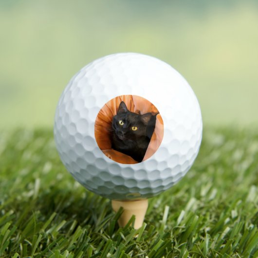 Süße schwarze Katze Golfball (Insitu T-Shirt)
