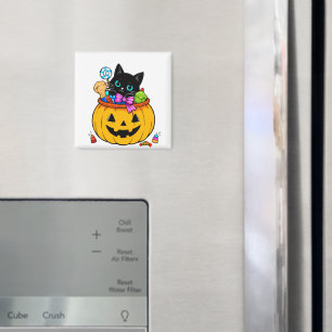 Süße schwarze Katze im Jack-O'-Lantern-Kürbis Hall Magnet