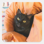 Süße schwarze Katze Quadratischer Aufkleber (Vorderseite)