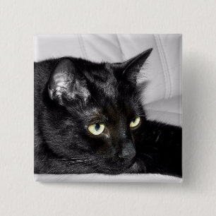Süße schwarze Katzenporträt Button
