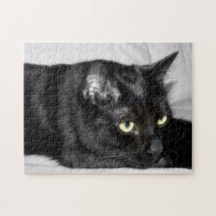 Süße schwarze Katzenporträt Puzzle