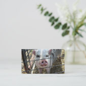 Süße Schwein-Visitenkarten Visitenkarte (Stehend Vorderseite)