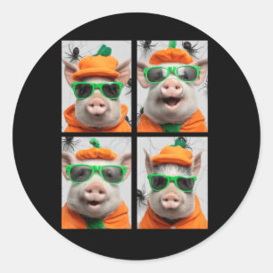 Süße Schweine mit Sonnenbrille Kürbiskostüm Lustig Runder Aufkleber