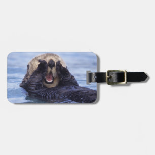Süße Seeotter   Alaska, USA Gepäckanhänger