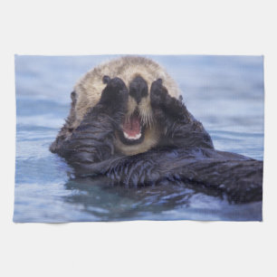 Süße Seeotter   Alaska, USA Küchentuch