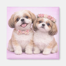 Süße Shih Tzu Paar Valentinstag-Illustration