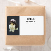 Süße Shih Tzu-Welpen (Insitu)