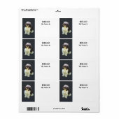 Süße Shih Tzu-Welpen (Vorne)
