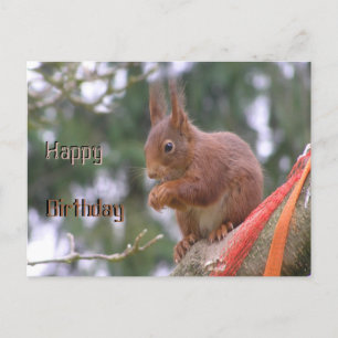 Süße sitzende Eichhörnchen Frohe Geburtstag Postka Postkarte