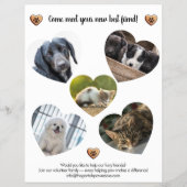 Süße Spendenaktion für Tierrettung Flyer (Hinten)