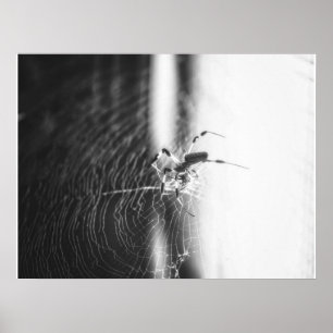 Süße Spinne verworrene Verflechtung Geschenk für Poster
