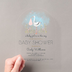 Süße Storchen-Babyparty Acryleinladungen