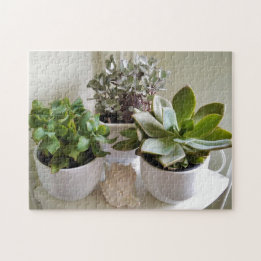Süße Sukkulenten in Töpfen mit Muschel-Foto Puzzle
