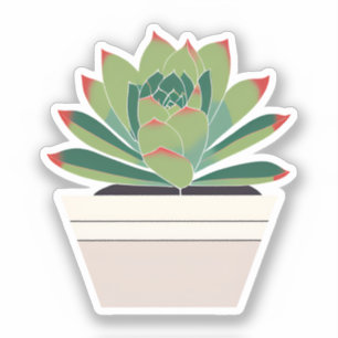 Süße Sukkulentenpflanze Aufkleber