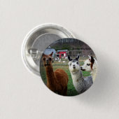 Süße Suri Alpakas des Wunders Button (Vorne & Hinten)