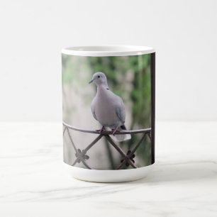 Süße Taube Weiße Taube Liebe & Frieden Symbol Voge Kaffeetasse
