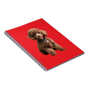 Süße Teacup-Poodle-Rotmappe Notizblock
