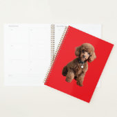 Süße Teacup-Poodle-Rotmappe Planer (Anzeige)