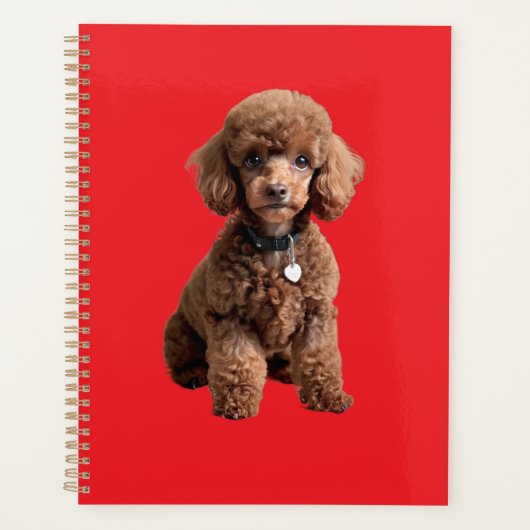 Süße Teacup-Poodle-Rotmappe Planer (Vorderseite)