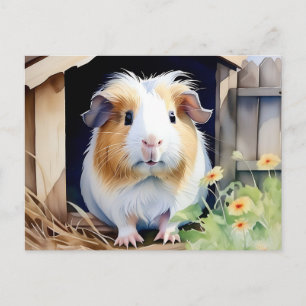 Süße Tier Guinea Pig Postkarte