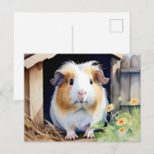 Süße Tier Guinea Pig Postkarte (Vorne/Hinten)