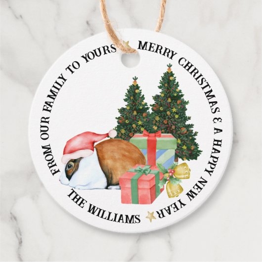 Süße Tier Illustrationen Frohe Weihnachtsgeschenk Geschenkanhänger (Vorderseite)